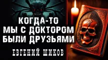 постер аудиокниги Когда-то мы были друзьями