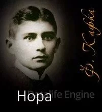 постер аудиокниги Нора - Франц Кафка
