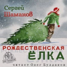 постер аудиокниги Рождественская ёлка