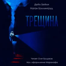 постер аудиокниги Трещина