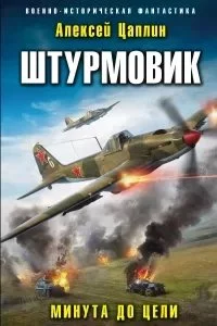 постер аудиокниги Штурмовик 2. Минута до цели - Алексей Цаплин