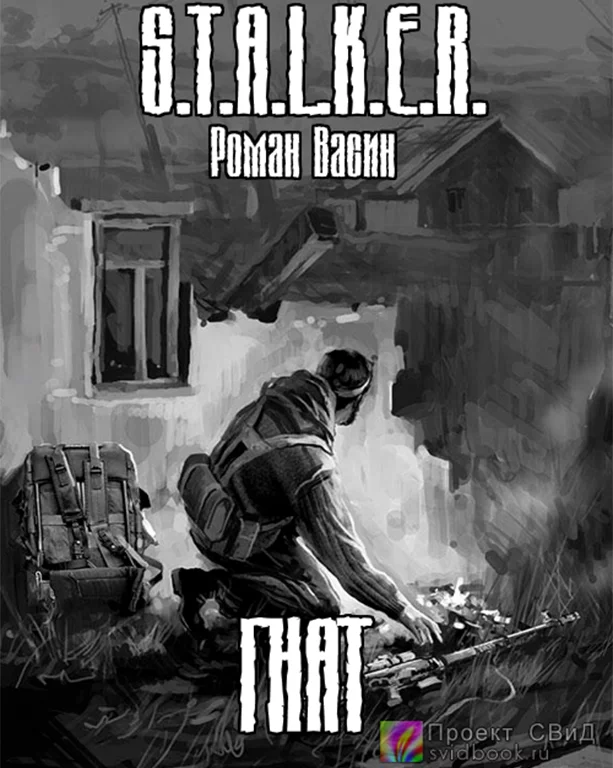 постер аудиокниги Гнат ( S.T.A.L.K.E.R.) - Роман Васин