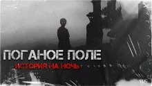 постер аудиокниги Поганое поле. Том первый. Исход