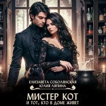 постер аудиокниги Мистер Кот и тот кто в доме живет - Елизавета Соболянская, Юлия Ляпина