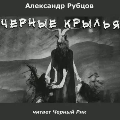 постер аудиокниги Черные крылья