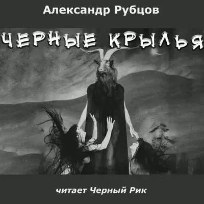 постер аудиокниги Черные крылья