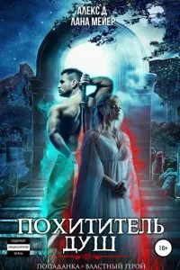 постер аудиокниги Зазеркалье 1. Похититель душ - Алекс Д, Лана Мейер