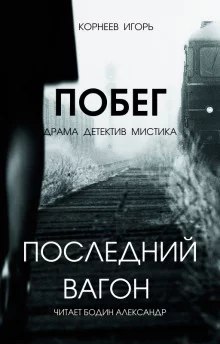 постер аудиокниги Последний вагон. Побег