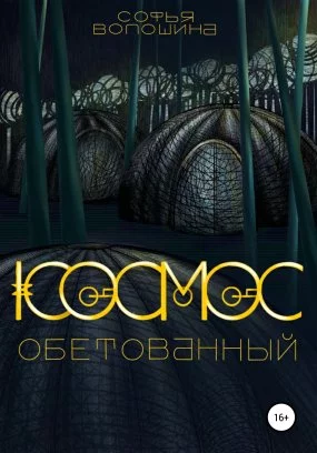постер аудиокниги Космос обетованный - Софья Волошина