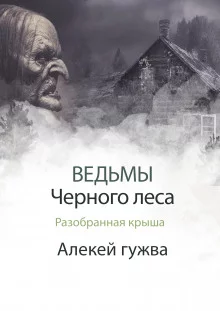 постер аудиокниги Разобранная крыша