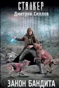 постер аудиокниги Снайпер 31. Закон бандита - Дмитрий Силлов