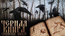 постер аудиокниги Чёрная книга Дикого леса