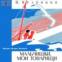 постер аудиокниги Мальчишки, мои товарищи