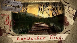 постер аудиокниги Камышовые поля - Мирон Высота