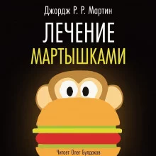 постер аудиокниги Лечение мартышками