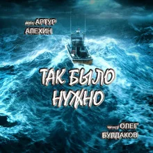 постер аудиокниги Так было нужно