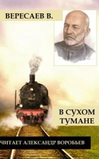 постер аудиокниги В сухом тумане - Викентий Вересаев