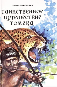 постер аудиокниги Таинственное путешествие Томека