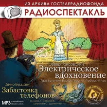 постер аудиокниги Электрическое вдохновение. Забастовка телефонов