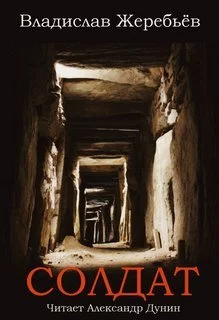 постер аудиокниги Солдат - Владислав Жеребьев