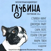 постер аудиокниги ГЛУБИНА. Погружение 20-е