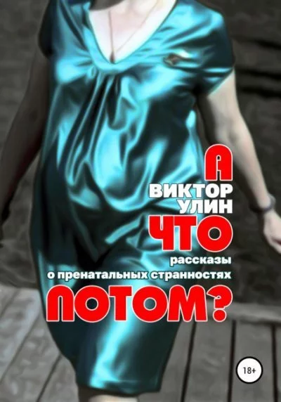 постер аудиокниги А что потом? - Виктор Улин