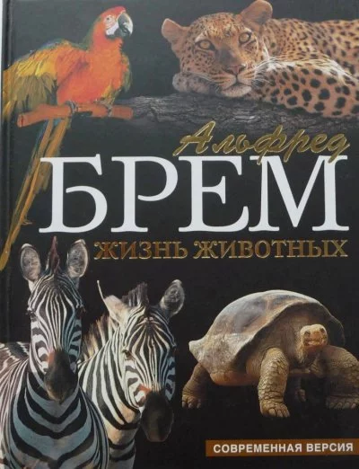постер аудиокниги Жизнь животных. Пресмыкающиеся. Обезьяны - Альфред Брэм