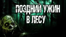постер аудиокниги Поздний ужин в лесу