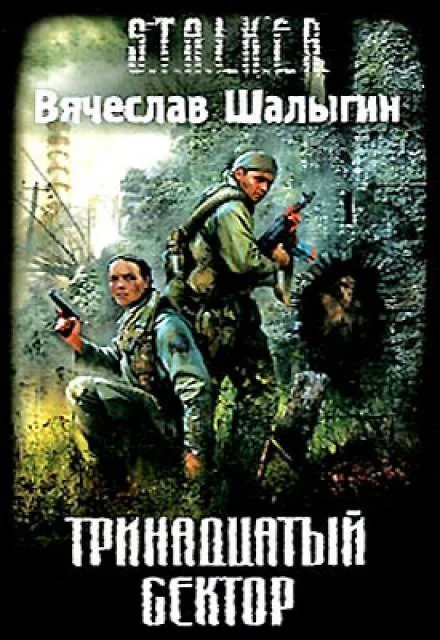 постер аудиокниги Тринадцатый сектор - Вячеслав Шалыгин