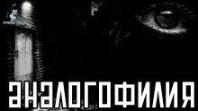 постер аудиокниги Аналогофилия
