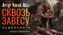 постер аудиокниги Сквозь завесу