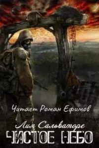 постер аудиокниги Чистое небо - Лия Сальваторе