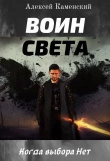 постер аудиокниги Воин Света
