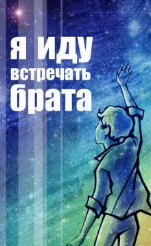 постер аудиокниги Я иду встречать брата