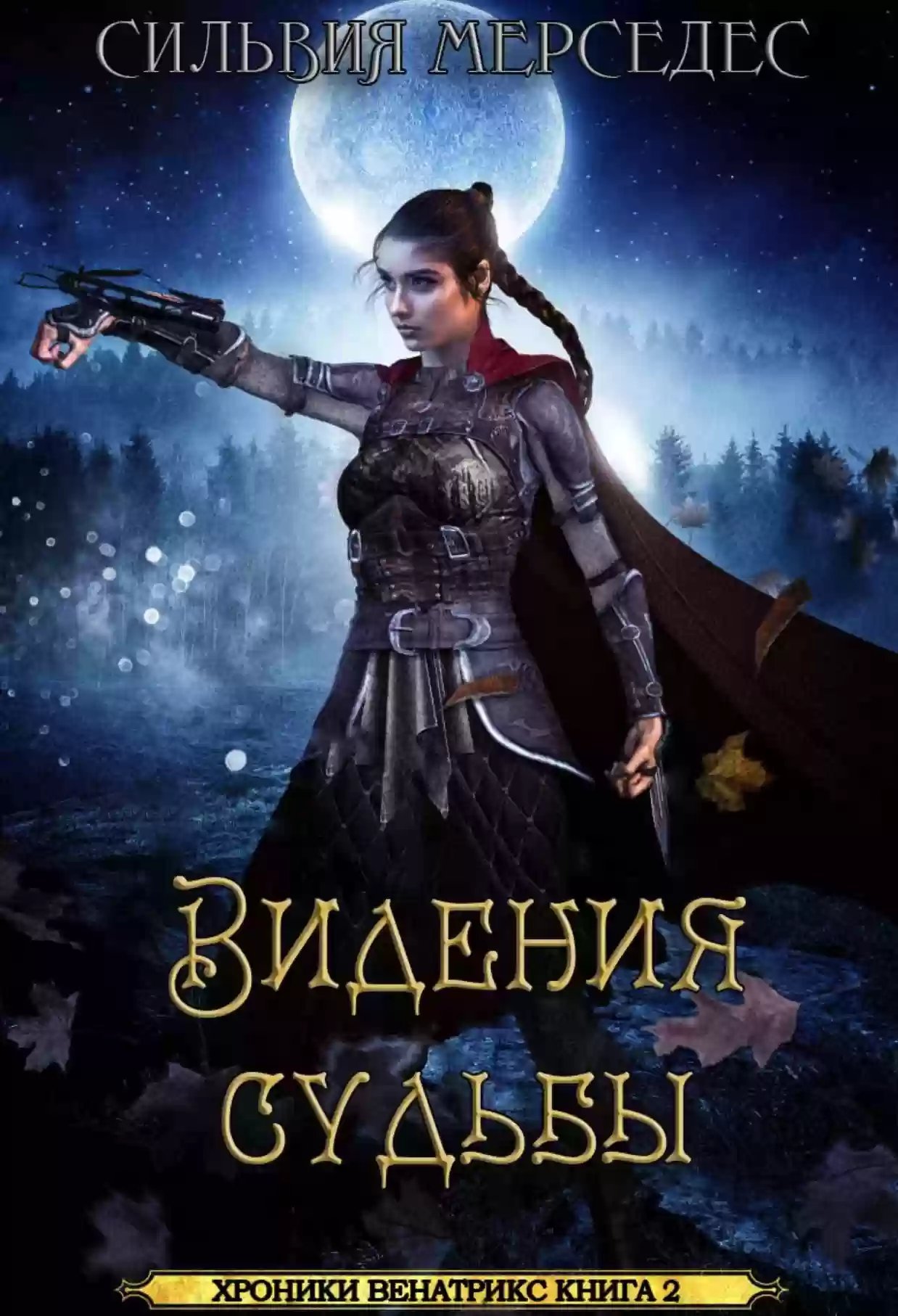 постер аудиокниги Видения судьбы