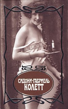 постер аудиокниги Кошка