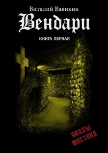 постер аудиокниги Вендари. Книга первая