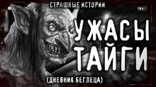 постер аудиокниги Дневник беглеца
