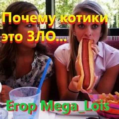 постер аудиокниги Почему котики-это зло - Mega luis Егор