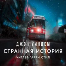 постер аудиокниги Странная история