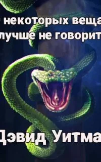постер аудиокниги О некоторых вещах лучше не говорить - Дэвид Уитман
