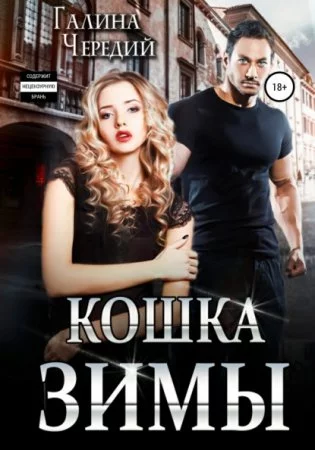 постер аудиокниги Кошка Зимы