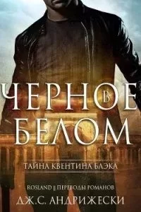 постер аудиокниги Тайна Квентина Блэка 1. Черное в белом - Дж. С. Андрижески