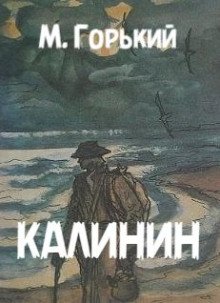 постер аудиокниги Калинин