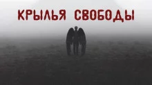 постер аудиокниги Крылья свободы
