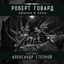 постер аудиокниги Крылья в ночи