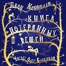 постер аудиокниги Книга потерянных вещей