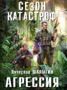 постер аудиокниги Агрессия