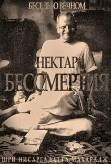 постер аудиокниги Нектар бессмертия. Беседы о Вечном