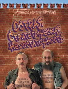 постер аудиокниги Острая стратегическая недостаточность. Страна на перепутье